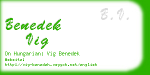 benedek vig business card